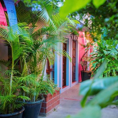 Hotel Las Golondrinas Oaxaca Kültér fotó