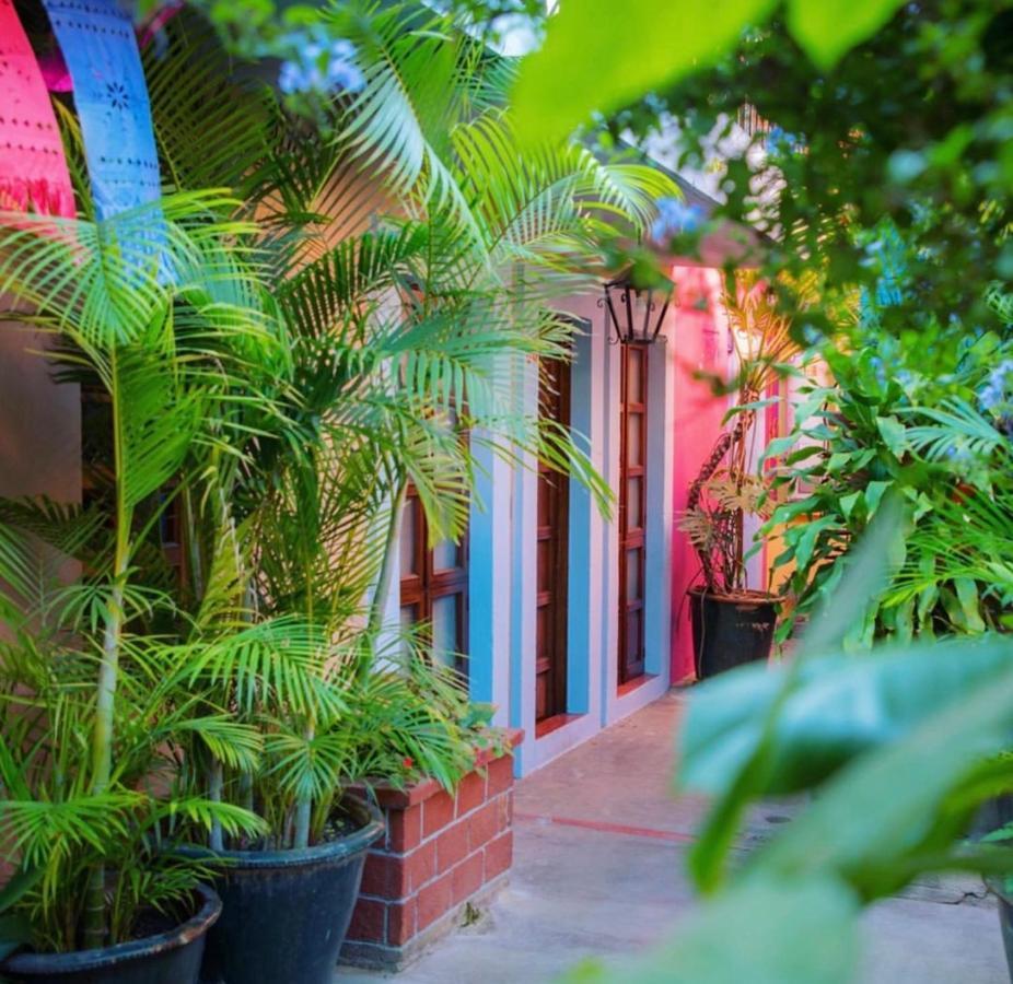 Hotel Las Golondrinas Oaxaca Kültér fotó