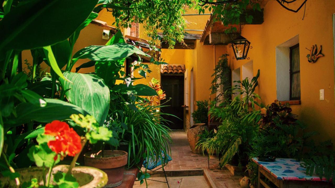 Hotel Las Golondrinas Oaxaca Kültér fotó