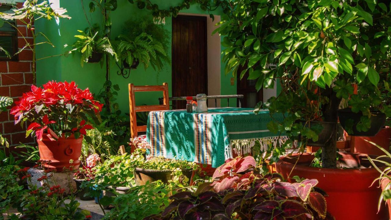 Hotel Las Golondrinas Oaxaca Kültér fotó
