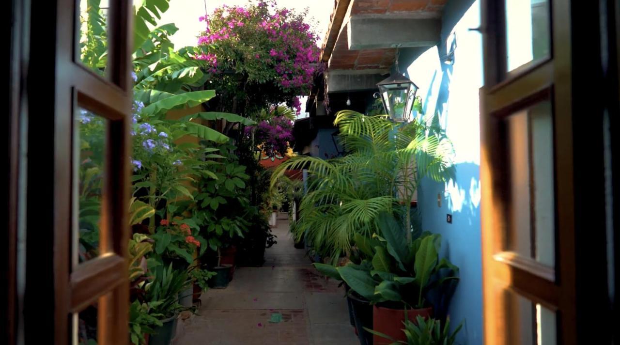 Hotel Las Golondrinas Oaxaca Kültér fotó