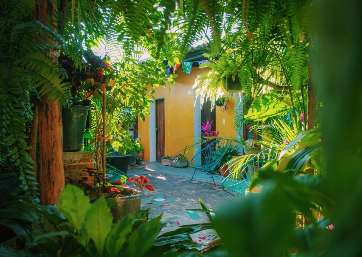 Hotel Las Golondrinas Oaxaca Kültér fotó