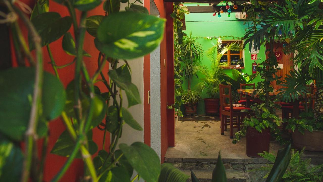 Hotel Las Golondrinas Oaxaca Kültér fotó