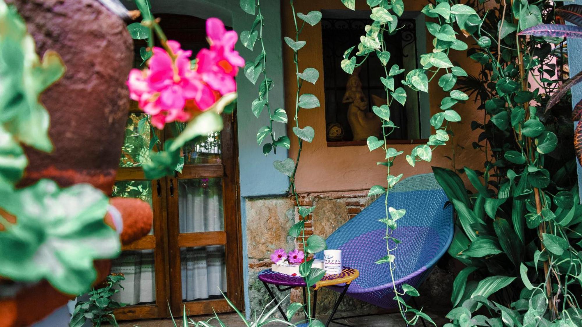 Hotel Las Golondrinas Oaxaca Kültér fotó