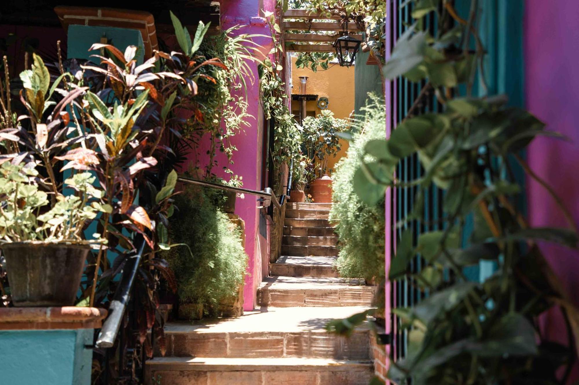 Hotel Las Golondrinas Oaxaca Kültér fotó