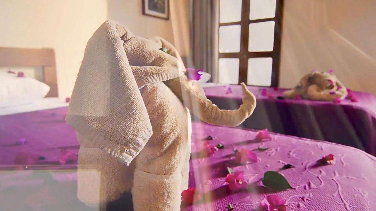 Hotel Las Golondrinas Oaxaca Kültér fotó