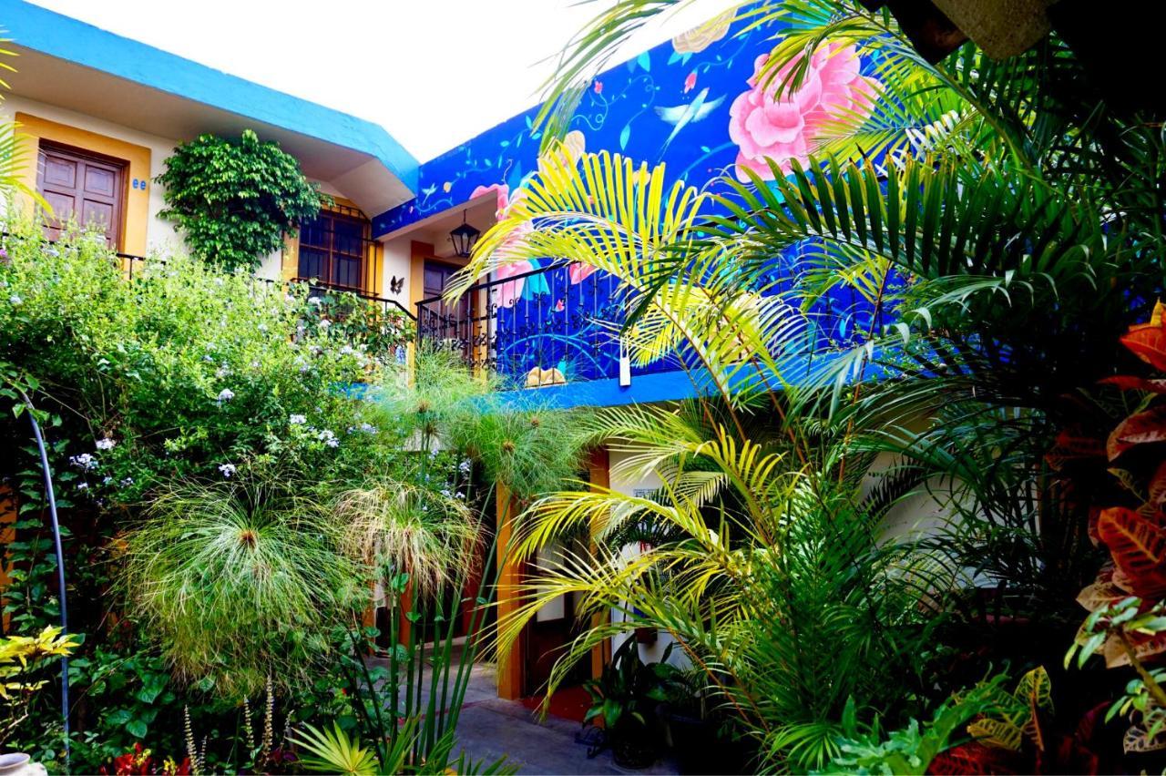 Hotel Las Golondrinas Oaxaca Kültér fotó