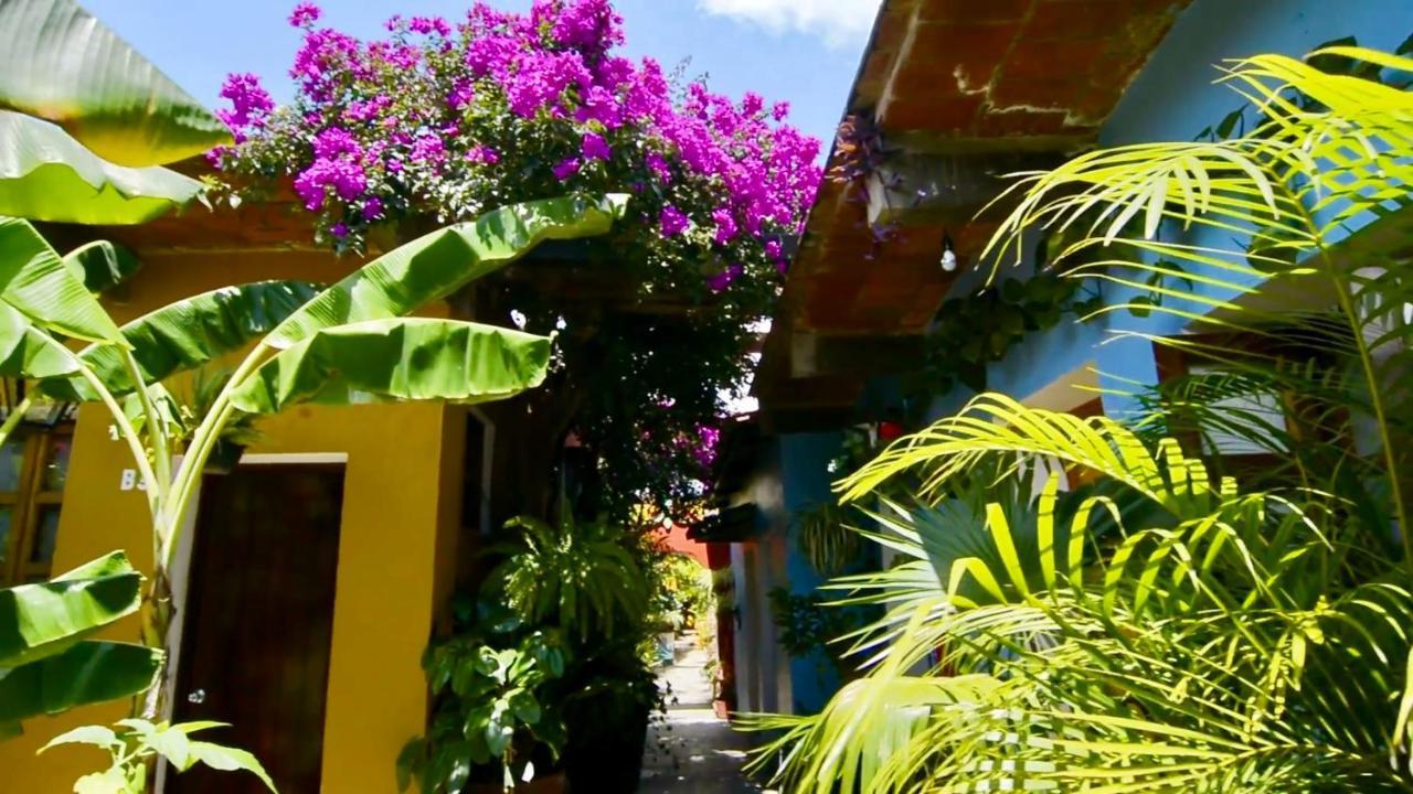 Hotel Las Golondrinas Oaxaca Kültér fotó