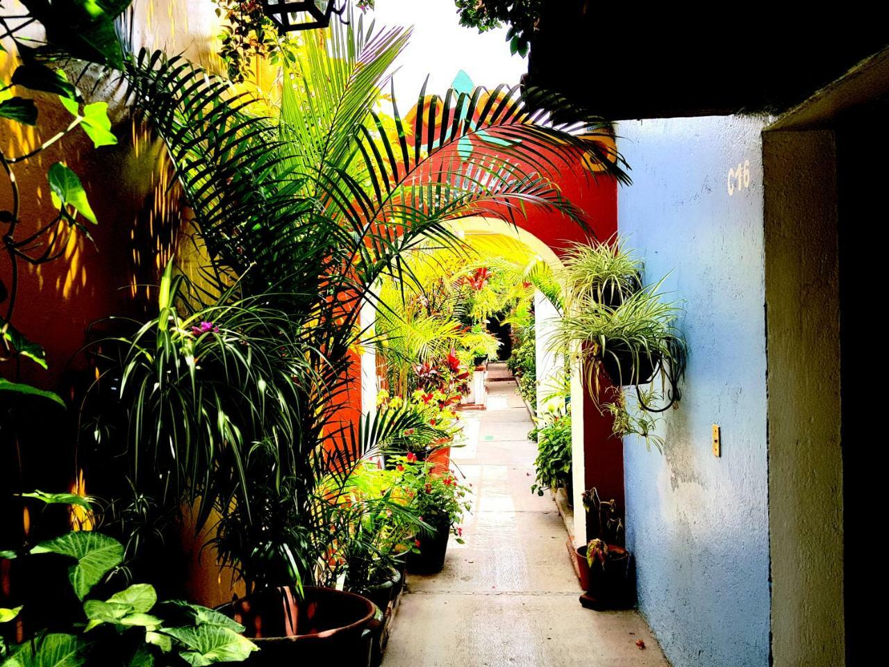 Hotel Las Golondrinas Oaxaca Kültér fotó